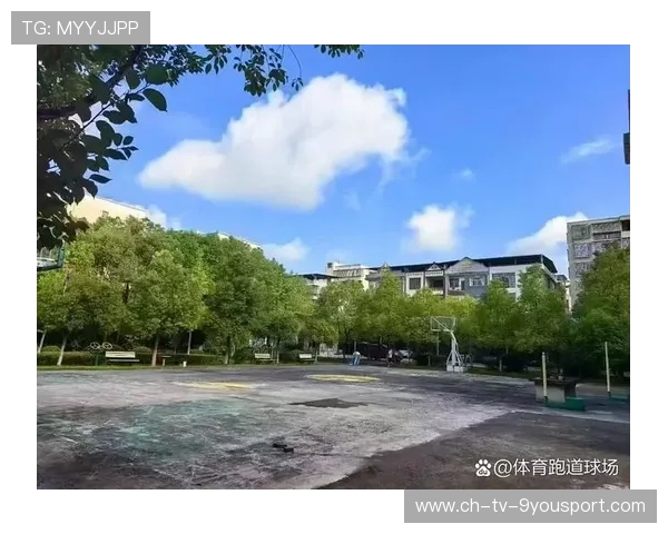 篮球联赛推动场馆绿色节能改造降低运营成本,篮球场改造工程